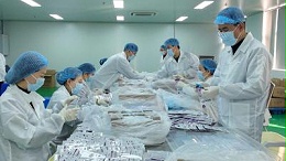 武汉耦合医学医用退热贴OEM代工有何优势？